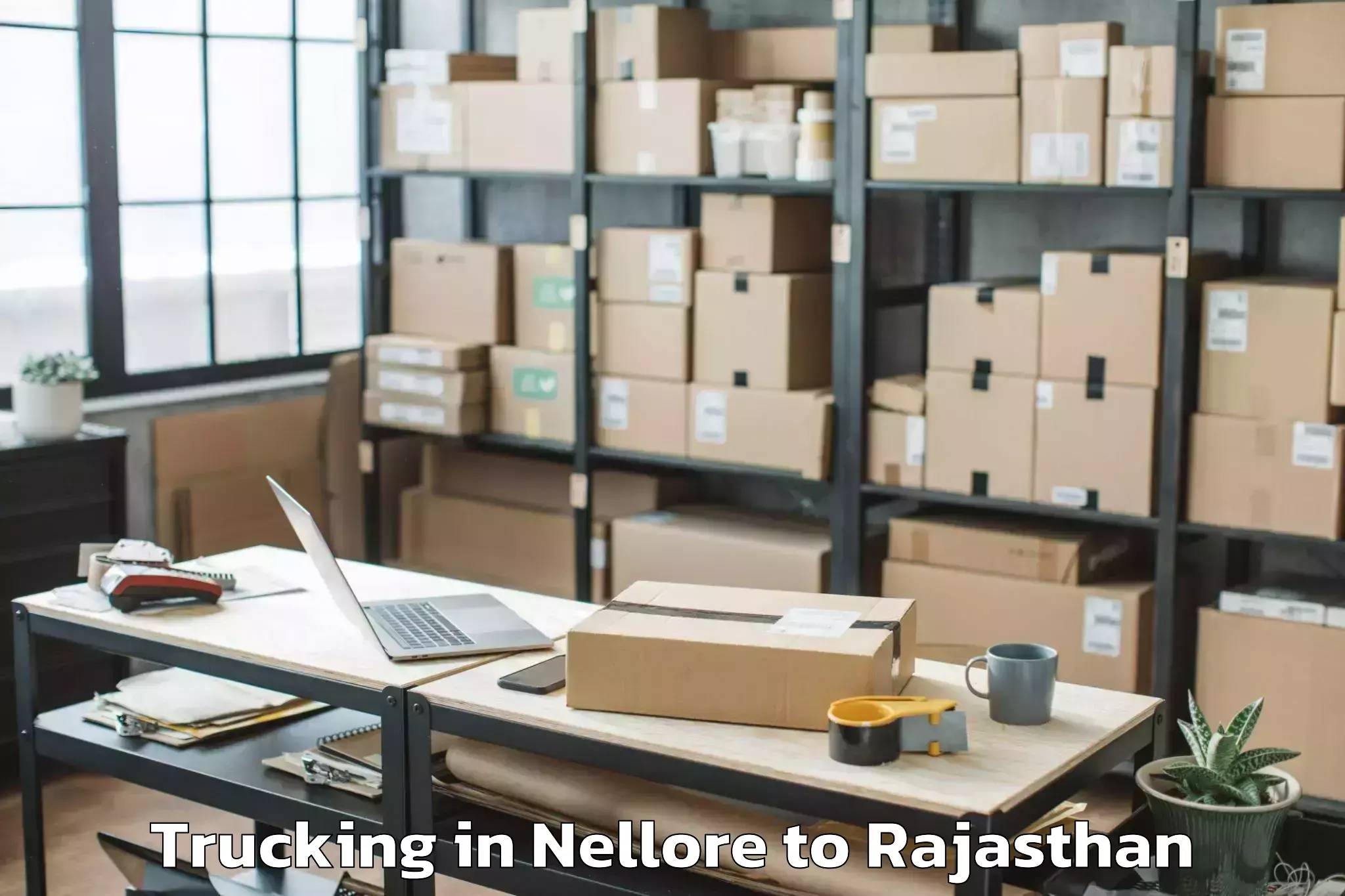 Book Nellore to Sangam University Bhilwara Trucking Online